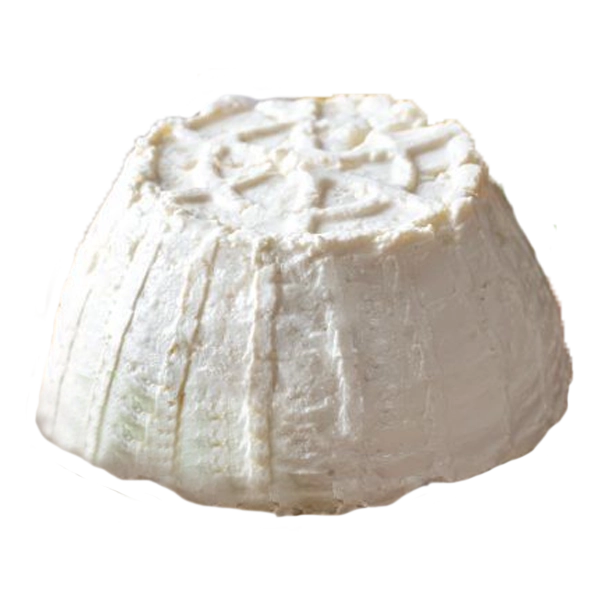 Queso ricotta